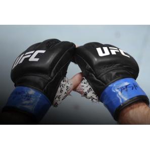 Welche Art von Handschuhen werden in der UFC verwendet?