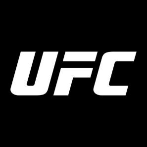 Was ist UFC?