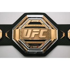 UFC-Champions