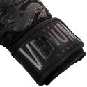 Boxhandschuhe Venum Dragon ´s Flight black/black